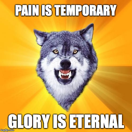 Courage Wolf | PAIN IS TEMPORARY; GLORY IS ETERNAL | image tagged in memes,courage wolf | made w/ Imgflip meme maker