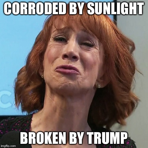 Kathy Griffin | CORRODED BY SUNLIGHT; BROKEN BY TRUMP | image tagged in kathy griffin | made w/ Imgflip meme maker