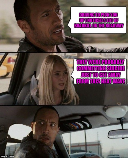 The Rock Driving Meme | DRIVING TO PICK YOU UP I NOTICED A LOT OF ROADKILL ON THE ROADWAY; THEY WERE PROBABLY COMMITTING SUICIDE JUST TO GET AWAY FROM THIS HEAT WAVE | image tagged in memes,the rock driving | made w/ Imgflip meme maker