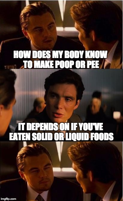 Inception Meme | HOW DOES MY BODY KNOW TO MAKE POOP OR PEE; IT DEPENDS ON IF YOU'VE EATEN SOLID OR LIQUID FOODS | image tagged in memes,inception | made w/ Imgflip meme maker