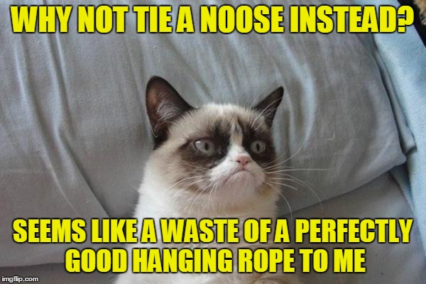 WHY NOT TIE A NOOSE INSTEAD? SEEMS LIKE A WASTE OF A PERFECTLY GOOD HANGING ROPE TO ME | made w/ Imgflip meme maker