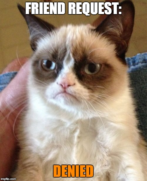 Grumpy Cat Meme | FRIEND REQUEST: DENIED | image tagged in memes,grumpy cat | made w/ Imgflip meme maker