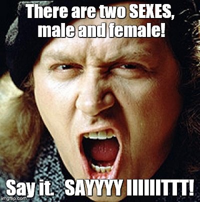 There are two SEXES, male and female! Say it.   SAYYYY IIIIIITTT! | made w/ Imgflip meme maker