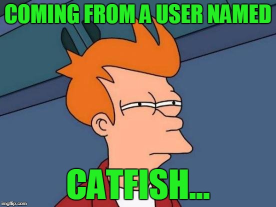 Futurama Fry Meme | COMING FROM A USER NAMED CATFISH... | image tagged in memes,futurama fry | made w/ Imgflip meme maker