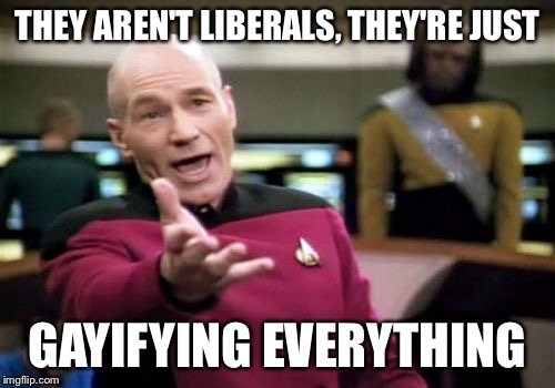 Picard Wtf Meme | THEY AREN'T LIBERALS, THEY'RE JUST; GAYIFYING EVERYTHING | image tagged in memes,picard wtf | made w/ Imgflip meme maker