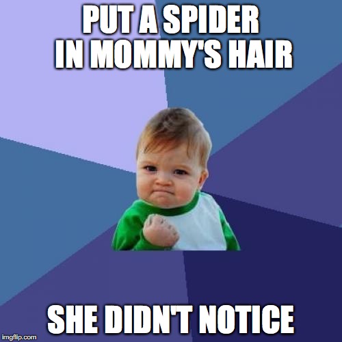 Success Kid | PUT A SPIDER IN MOMMY'S HAIR; SHE DIDN'T NOTICE | image tagged in memes,success kid | made w/ Imgflip meme maker