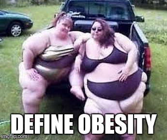 DEFINE OBESITY | image tagged in two fat women | made w/ Imgflip meme maker