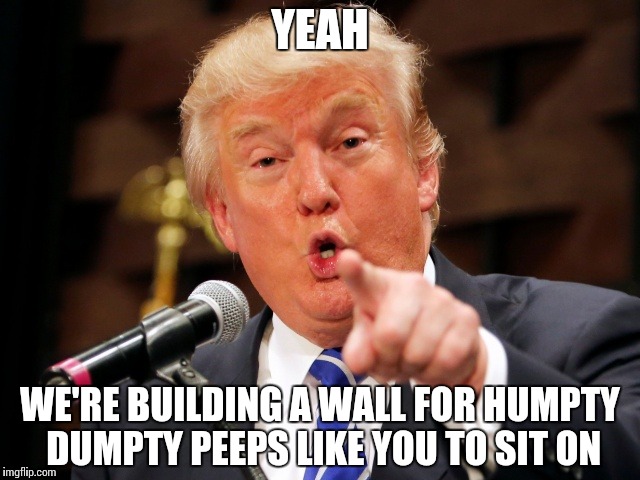 Trump You! | YEAH WE'RE BUILDING A WALL FOR HUMPTY DUMPTY PEEPS LIKE YOU TO SIT ON | image tagged in trump you | made w/ Imgflip meme maker