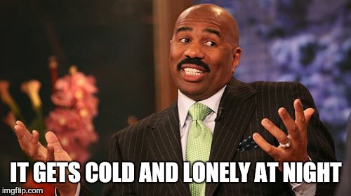 Steve Harvey Meme | IT GETS COLD AND LONELY AT NIGHT | image tagged in memes,steve harvey | made w/ Imgflip meme maker