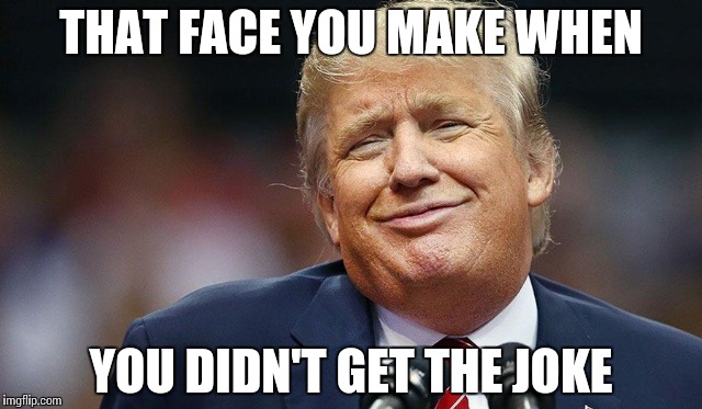 Trump Oopsie | THAT FACE YOU MAKE WHEN YOU DIDN'T GET THE JOKE | image tagged in trump oopsie | made w/ Imgflip meme maker