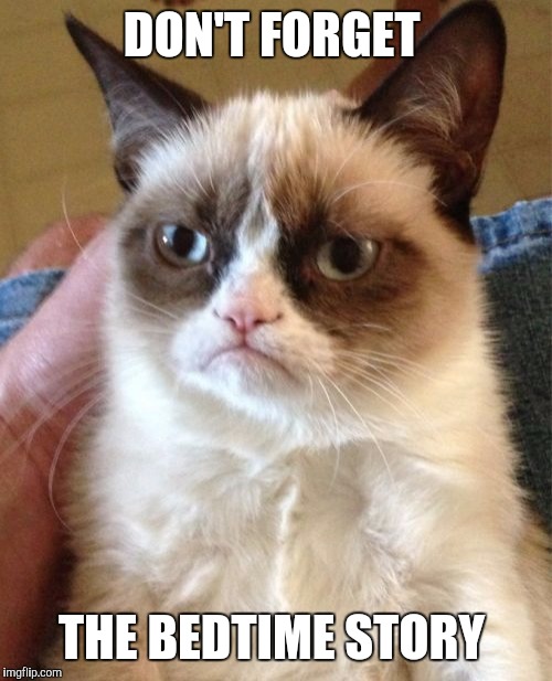 Grumpy Cat Meme | DON'T FORGET THE BEDTIME STORY | image tagged in memes,grumpy cat | made w/ Imgflip meme maker