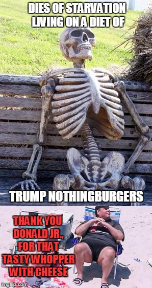 Whew... that was close.  | DIES OF STARVATION LIVING ON A DIET OF; TRUMP NOTHINGBURGERS; THANK YOU DONALD JR., FOR THAT TASTY WHOPPER WITH CHEESE | image tagged in nothing burger,donald trump | made w/ Imgflip meme maker