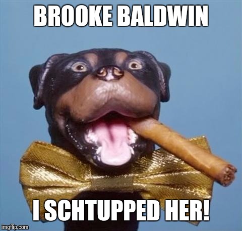 I keed,I keed | BROOKE BALDWIN; I SCHTUPPED HER! | image tagged in triumph the insult comic dog,cnn,fake news | made w/ Imgflip meme maker