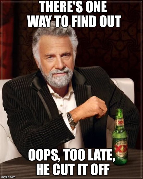 The Most Interesting Man In The World Meme | THERE'S ONE WAY TO FIND OUT OOPS, TOO LATE, HE CUT IT OFF | image tagged in memes,the most interesting man in the world | made w/ Imgflip meme maker
