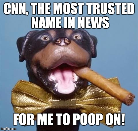 No keeding, they really suck | CNN, THE MOST TRUSTED NAME IN NEWS; FOR ME TO POOP ON! | image tagged in triumph the insult comic dog,cnn sucks,cnn fake news,meme | made w/ Imgflip meme maker