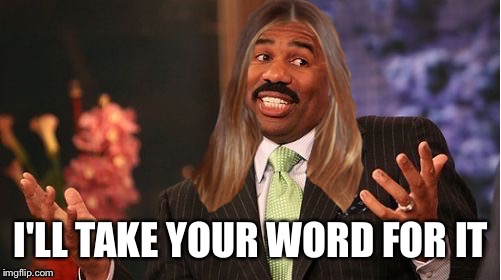 stevie harvey | I'LL TAKE YOUR WORD FOR IT | image tagged in stevie harvey | made w/ Imgflip meme maker