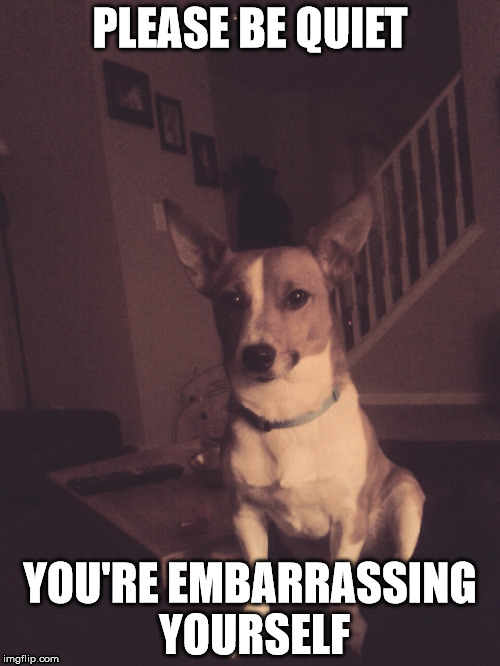 PLEASE BE QUIET; YOU'RE EMBARRASSING YOURSELF | image tagged in funny,dog | made w/ Imgflip meme maker