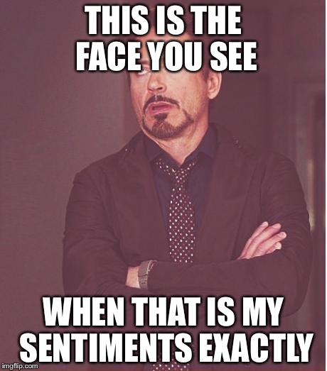 Face You Make Robert Downey Jr Meme | THIS IS THE FACE YOU SEE WHEN THAT IS MY SENTIMENTS EXACTLY | image tagged in memes,face you make robert downey jr | made w/ Imgflip meme maker