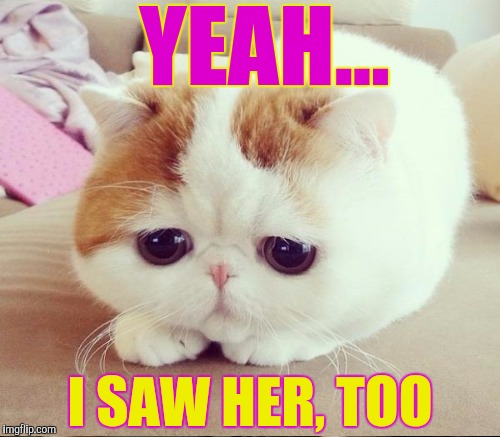 YEAH... I SAW HER, TOO | made w/ Imgflip meme maker