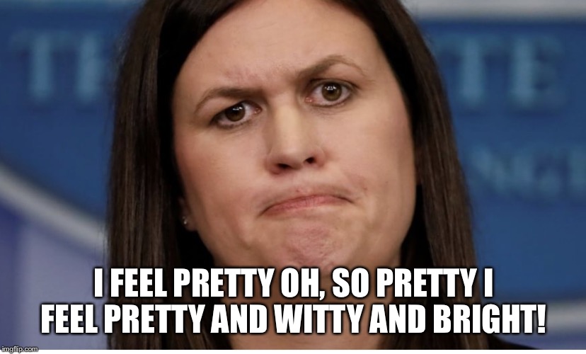 Sarah Huckleberry  | I FEEL PRETTY
OH, SO PRETTY
I FEEL PRETTY AND WITTY AND BRIGHT! | image tagged in sarah huckabee | made w/ Imgflip meme maker