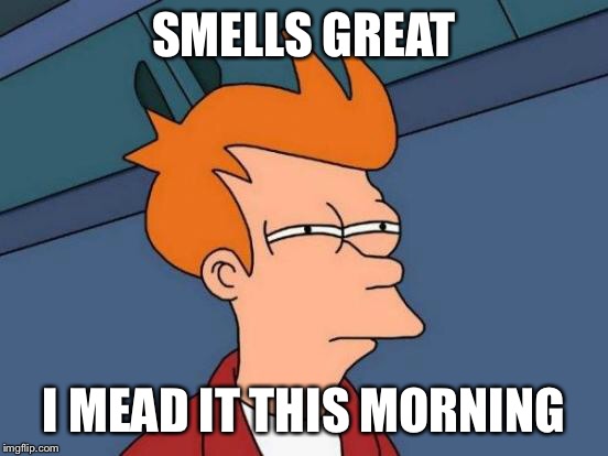 Futurama Fry Meme | SMELLS GREAT I MEAD IT THIS MORNING | image tagged in memes,futurama fry | made w/ Imgflip meme maker