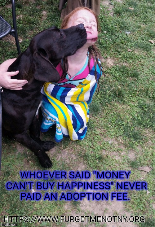 WHOEVER SAID "MONEY CAN'T BUY HAPPINESS" NEVER PAID AN ADOPTION FEE. HTTPS://WWW.FURGETMENOTNY.ORG | image tagged in rescuedoglove | made w/ Imgflip meme maker