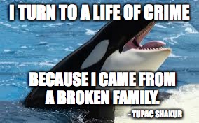 orca | I TURN TO A LIFE OF CRIME; BECAUSE I CAME FROM A BROKEN FAMILY. - TUPAC SHAKUR | image tagged in orca | made w/ Imgflip meme maker