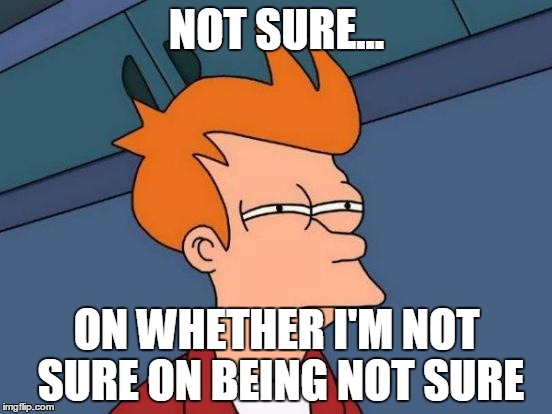 Yo dawg! | NOT SURE... ON WHETHER I'M NOT SURE ON BEING NOT SURE | image tagged in memes,futurama fry | made w/ Imgflip meme maker