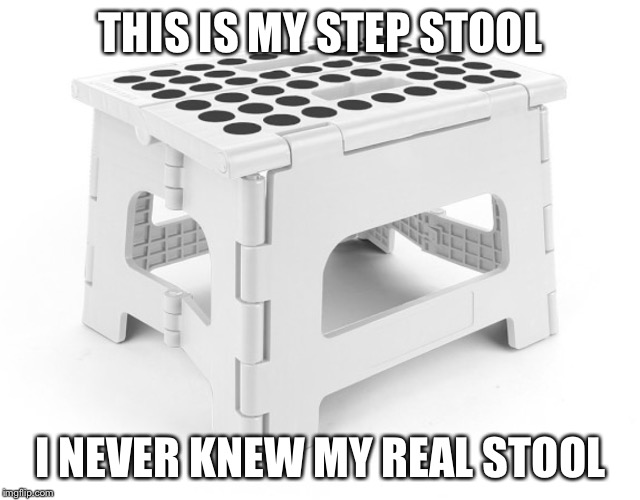 Nobody knows | THIS IS MY STEP STOOL; I NEVER KNEW MY REAL STOOL | image tagged in funny memes,family,latest stream,parents | made w/ Imgflip meme maker