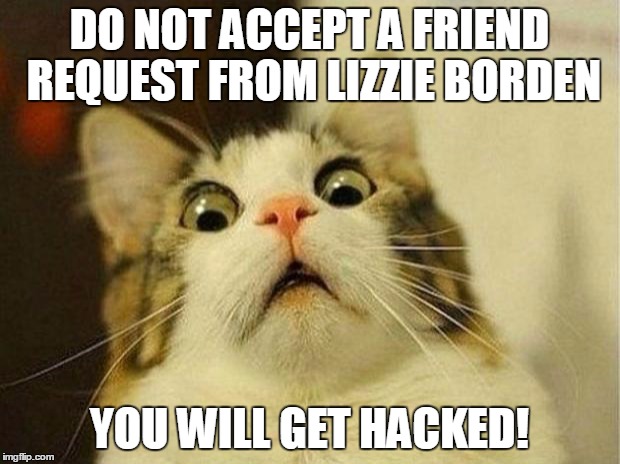Scared Cat Meme | DO NOT ACCEPT A FRIEND REQUEST FROM LIZZIE BORDEN; YOU WILL GET HACKED! | image tagged in memes,scared cat | made w/ Imgflip meme maker