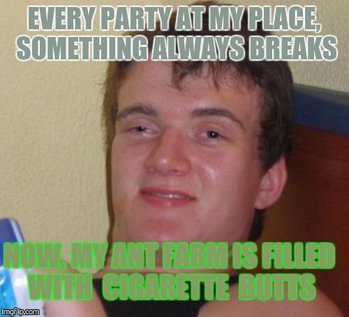 With Friends Like That, ... | EVERY PARTY AT MY PLACE, SOMETHING ALWAYS BREAKS; NOW, MY ANT FARM IS FILLED WITH  CIGARETTE  BUTTS | image tagged in memes,10 guy | made w/ Imgflip meme maker