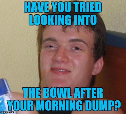 10 Guy Meme | HAVE YOU TRIED LOOKING INTO THE BOWL AFTER YOUR MORNING DUMP? | image tagged in memes,10 guy | made w/ Imgflip meme maker