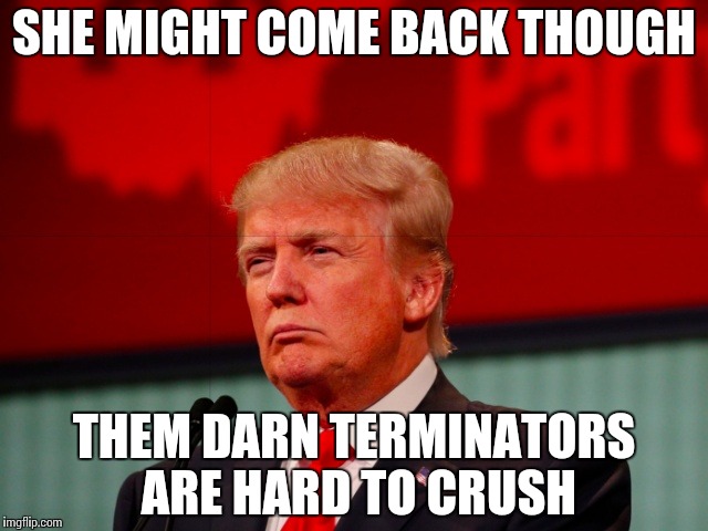 Not Sure | SHE MIGHT COME BACK THOUGH THEM DARN TERMINATORS ARE HARD TO CRUSH | image tagged in not sure | made w/ Imgflip meme maker
