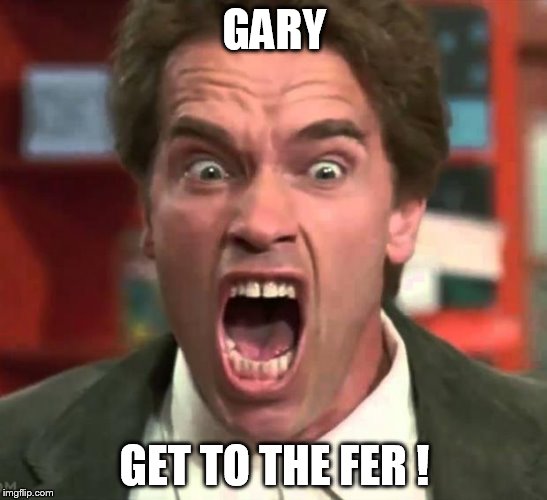 Arnold yelling | GARY; GET TO THE FER ! | image tagged in arnold yelling | made w/ Imgflip meme maker