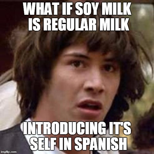 Conspiracy Keanu Meme | WHAT IF SOY MILK IS REGULAR MILK; INTRODUCING IT'S SELF IN SPANISH | image tagged in memes,conspiracy keanu | made w/ Imgflip meme maker