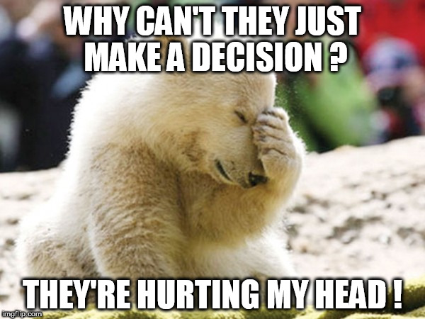 WHY CAN'T THEY JUST MAKE A DECISION ? THEY'RE HURTING MY HEAD ! | image tagged in oh no polar | made w/ Imgflip meme maker