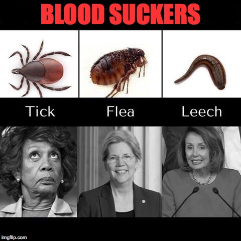 Know Your Parasites | BLOOD SUCKERS | image tagged in maxine waters,elizabeth warren,nancy pelosi | made w/ Imgflip meme maker