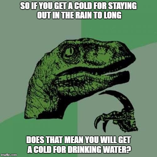 Philosoraptor Meme | SO IF YOU GET A COLD FOR STAYING OUT IN THE RAIN TO LONG; DOES THAT MEAN YOU WILL GET A COLD FOR DRINKING WATER? | image tagged in memes,philosoraptor | made w/ Imgflip meme maker