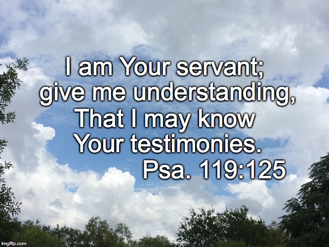 I am Your servant; give me understanding, That I may know Your testimonies. Psa. 119:125 | image tagged in know | made w/ Imgflip meme maker