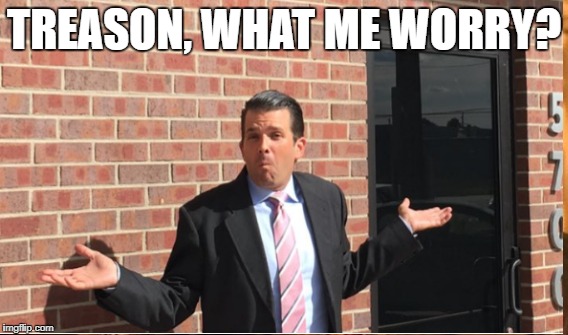 Junior Traitor | TREASON, WHAT ME WORRY? | image tagged in traitor,trump jr | made w/ Imgflip meme maker