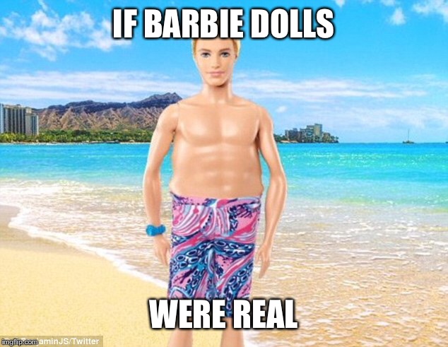If Barbie was real | IF BARBIE DOLLS; WERE REAL | image tagged in expectation vs reality,barbie | made w/ Imgflip meme maker