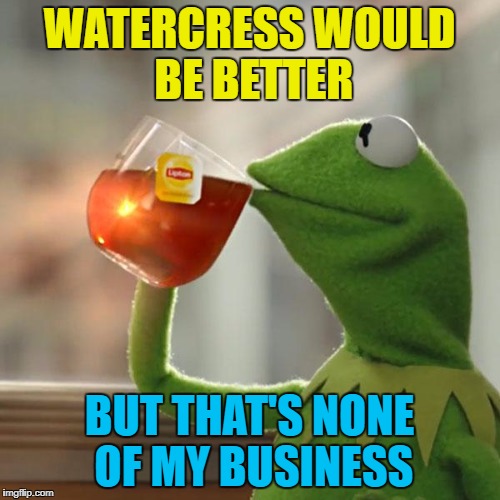 But That's None Of My Business Meme | WATERCRESS WOULD BE BETTER BUT THAT'S NONE OF MY BUSINESS | image tagged in memes,but thats none of my business,kermit the frog | made w/ Imgflip meme maker