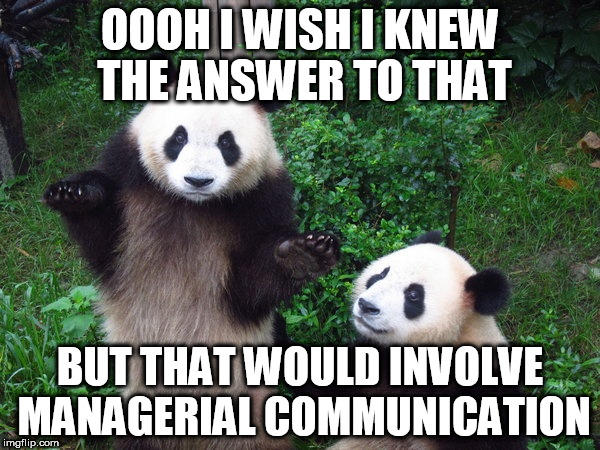 OOOH I WISH I KNEW THE ANSWER TO THAT; BUT THAT WOULD INVOLVE MANAGERIAL COMMUNICATION | image tagged in i dont no panda | made w/ Imgflip meme maker