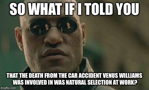 Matrix Morpheus Meme | SO WHAT IF I TOLD YOU; THAT THE DEATH FROM THE CAR ACCIDENT VENUS WILLIAMS WAS INVOLVED IN WAS NATURAL SELECTION AT WORK? | image tagged in memes,matrix morpheus | made w/ Imgflip meme maker