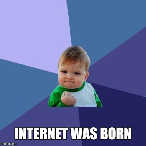 Success Kid Meme | INTERNET WAS BORN | image tagged in memes,success kid | made w/ Imgflip meme maker