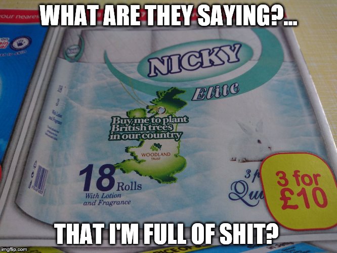 WHAT ARE THEY SAYING?... THAT I'M FULL OF SHIT? | image tagged in nicky toilet roll | made w/ Imgflip meme maker