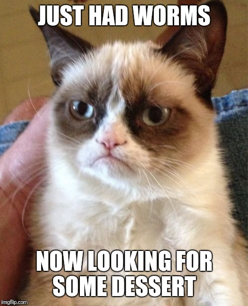 Grumpy Cat Meme | JUST HAD WORMS NOW LOOKING FOR SOME DESSERT | image tagged in memes,grumpy cat | made w/ Imgflip meme maker