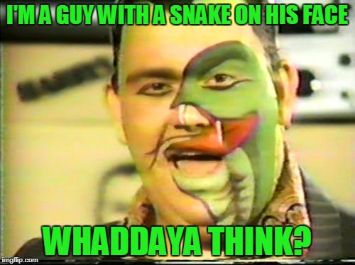 I'M A GUY WITH A SNAKE ON HIS FACE WHADDAYA THINK? | made w/ Imgflip meme maker