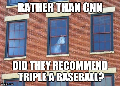 Memes     horse  | RATHER THAN CNN DID THEY RECOMMEND TRIPLE A BASEBALL? | image tagged in memes     horse | made w/ Imgflip meme maker