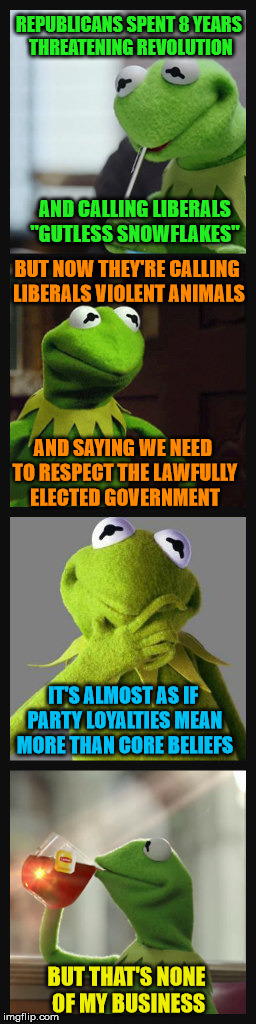 Odd, Isn't It? | REPUBLICANS SPENT 8 YEARS THREATENING REVOLUTION; AND CALLING LIBERALS "GUTLESS SNOWFLAKES"; BUT NOW THEY'RE CALLING LIBERALS VIOLENT ANIMALS; AND SAYING WE NEED TO RESPECT THE LAWFULLY ELECTED GOVERNMENT; IT'S ALMOST AS IF PARTY LOYALTIES MEAN MORE THAN CORE BELIEFS; BUT THAT'S NONE OF MY BUSINESS | image tagged in kermit the frog,republicans,democrats,but thats none of my business | made w/ Imgflip meme maker